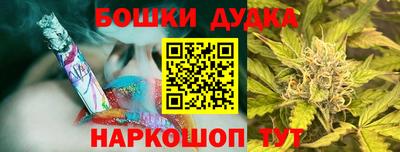 крисы Партизанск