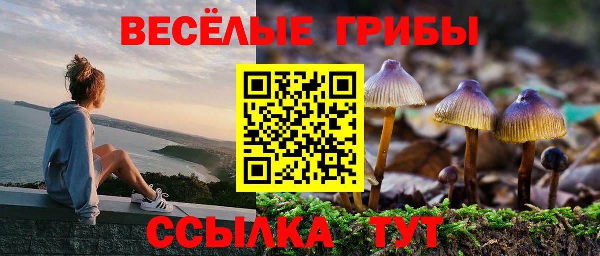 Псилоцибиновые грибы мицелий Обь