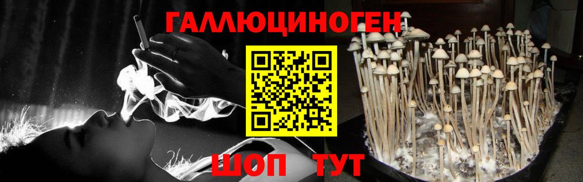 Псилоцибиновые грибы Psilocybine cubensis  Галлюциногенные грибы Magic Shrooms  Вход с VPN  Обь 
